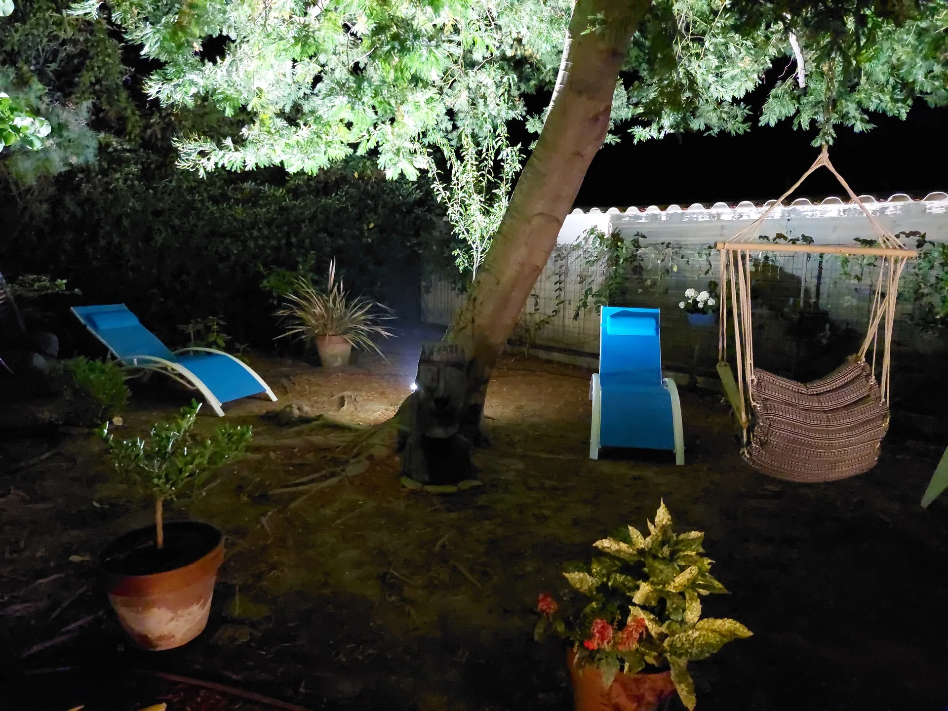 Transats au jardin